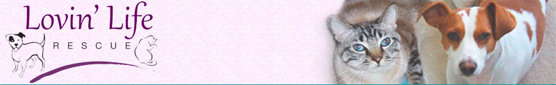 Puppy Love / Love Cats Pet Rescue Logo